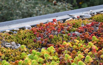 the cost of Lynsore Bottom green roof installation