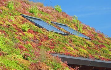 Lynsore Bottom living roof systems