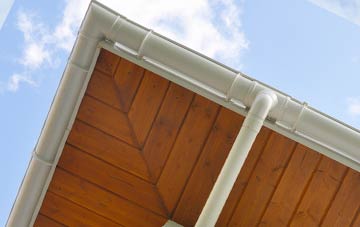 Lynsore Bottom soffit types