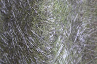 Lynsore Bottom fibreglass roof work